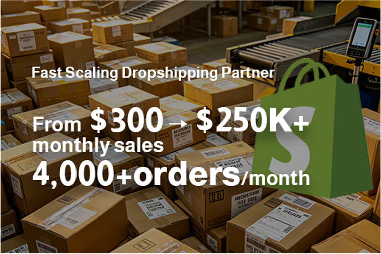 From $300 to $250K: A Shopify Dropshipping Success Story